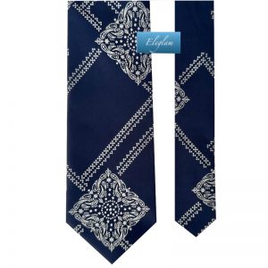 C170 CORBATA MOTIVOS